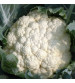 Cauliflower US-369 25 grams